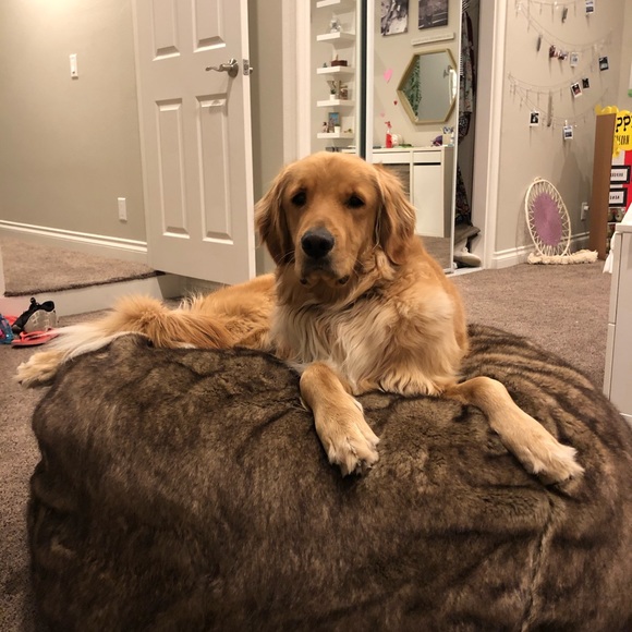 Meet your Posher, Michelle - Picture 1 of 1